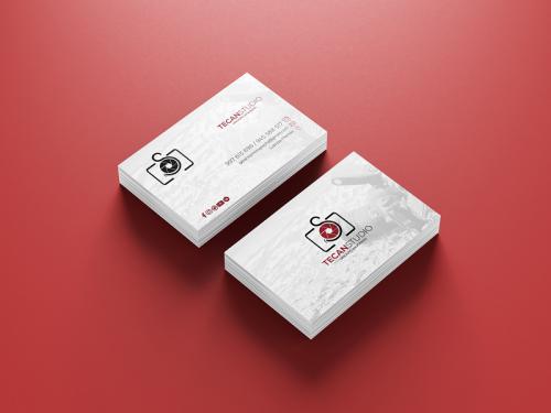 Tecanstudio